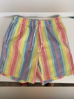 🌈 Lands’ End Rainbow Stripe Swim Trunks